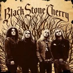 Black Stone Cherry : Black Stone Cherry Black Stone Cherry : Black Stone Cherry